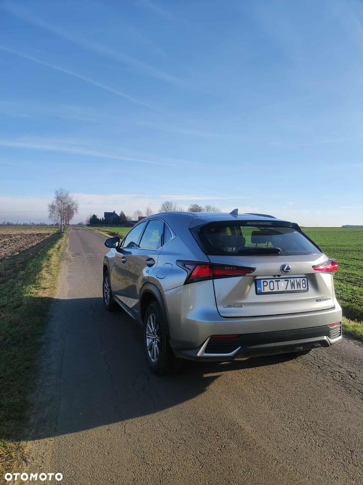 Lexus NX - 2