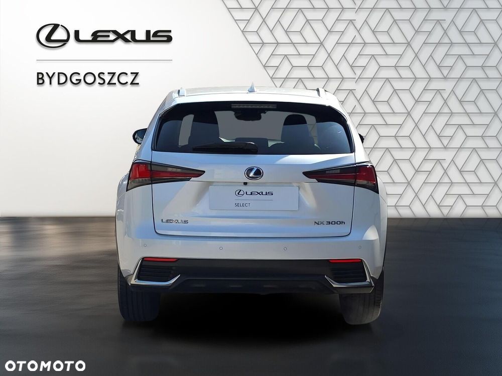 Lexus NX 300h F Impression AWD - 5