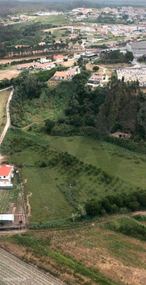 [EXCLUSIVO] Onde a Serenidade do Campo Encontra a Alma do Atlântico – - Grande imagem: 3/15