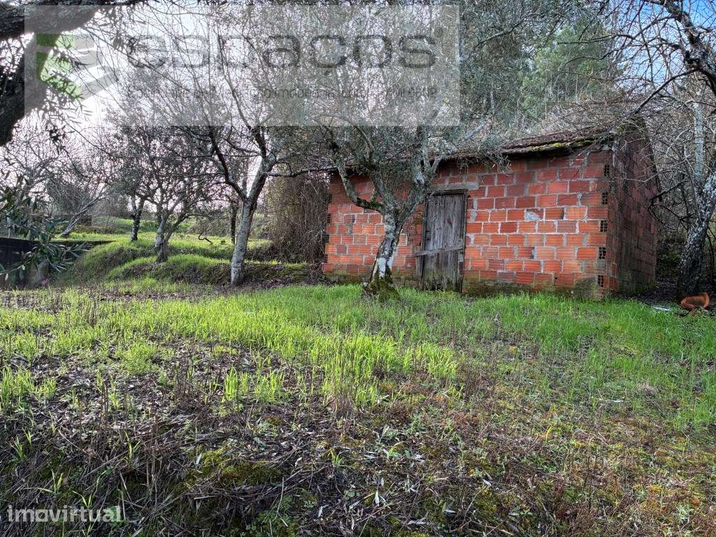 Terreno Urbano - Grande imagem: 3/17