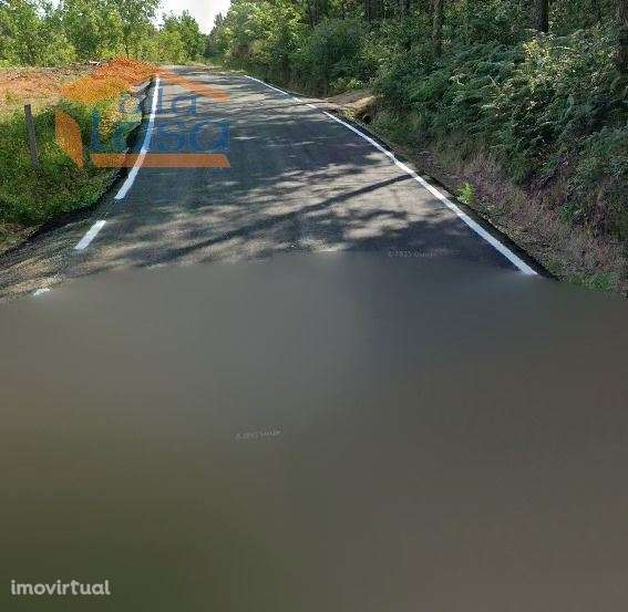 Pinhal em Fial, freguesia de Mundão - Grande imagem: 2/2