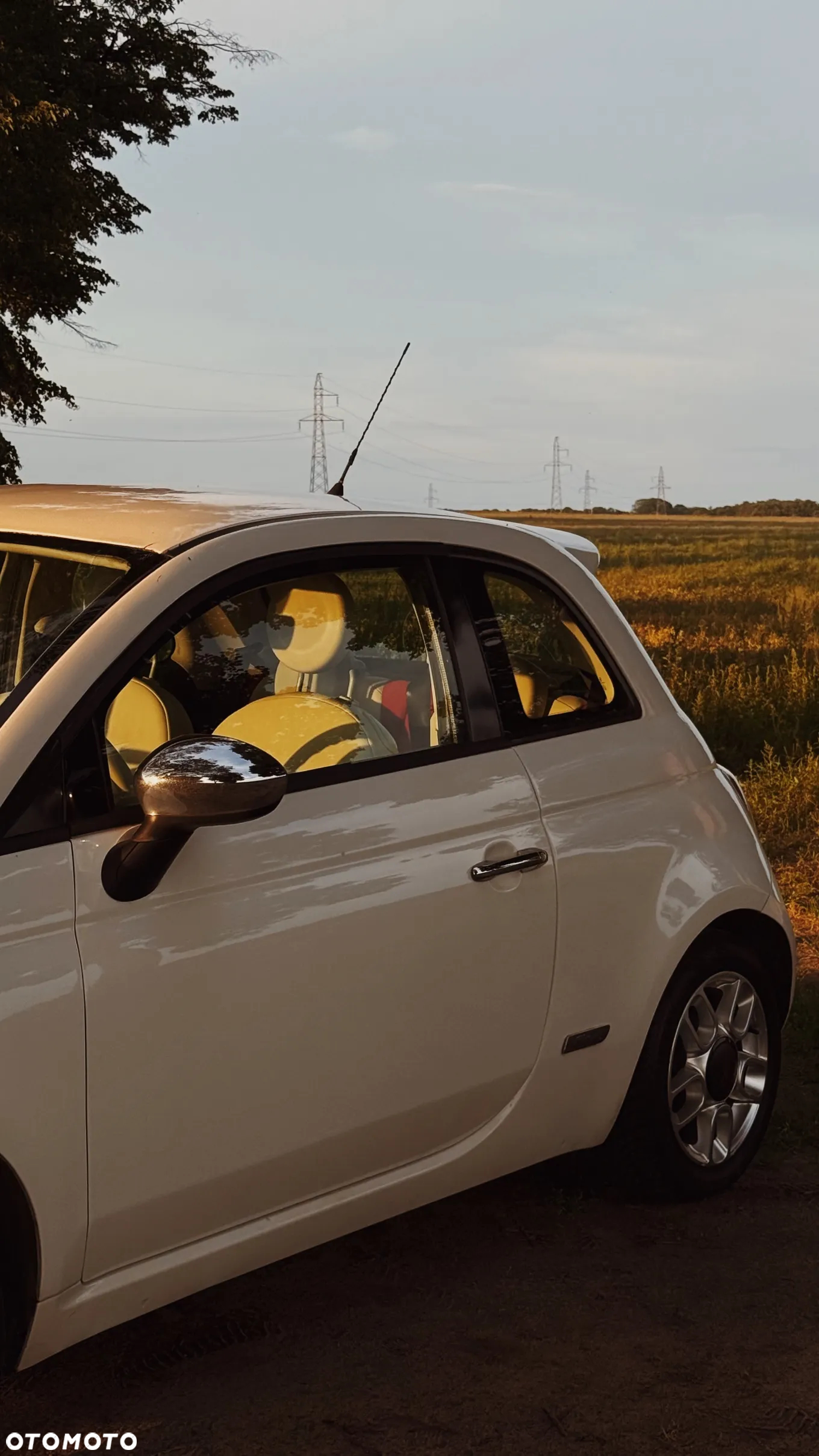 Fiat 500 - 12