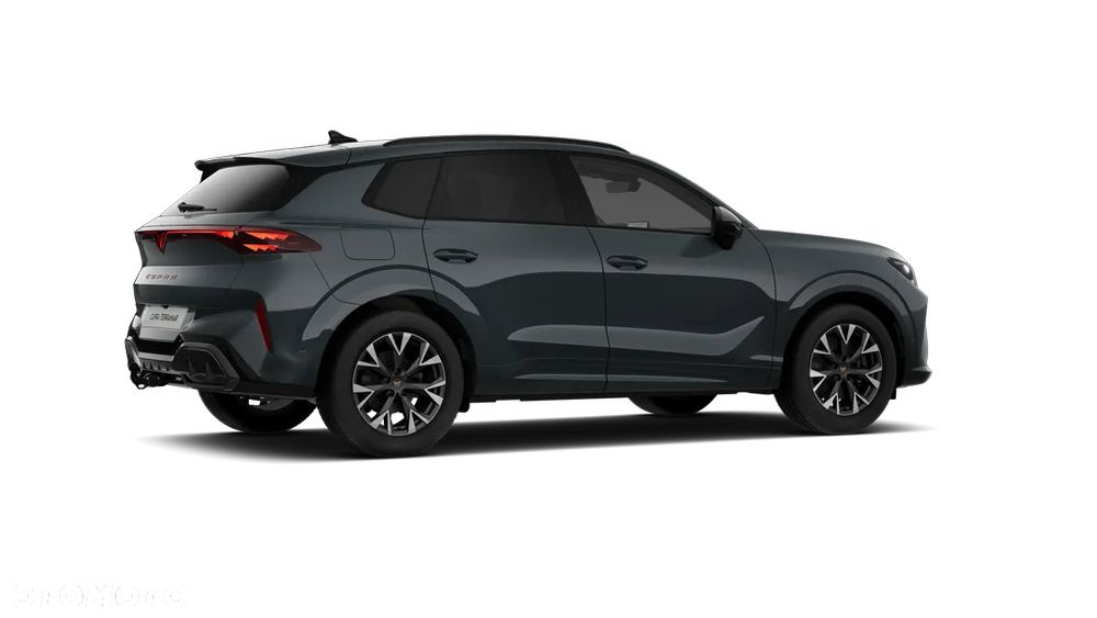 Cupra Terramar 2.0 TSI 4Drive DSG - 2