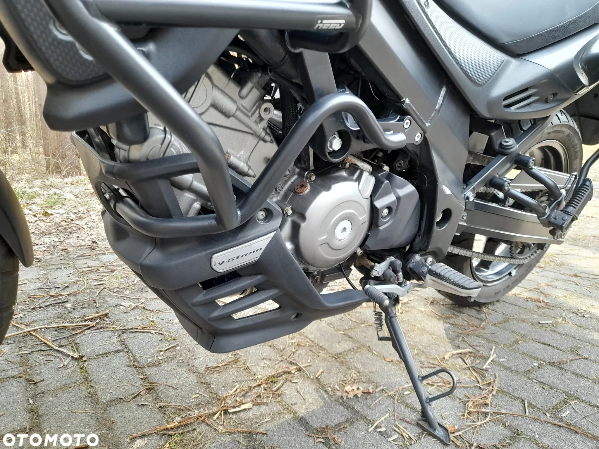 Suzuki DL - 10