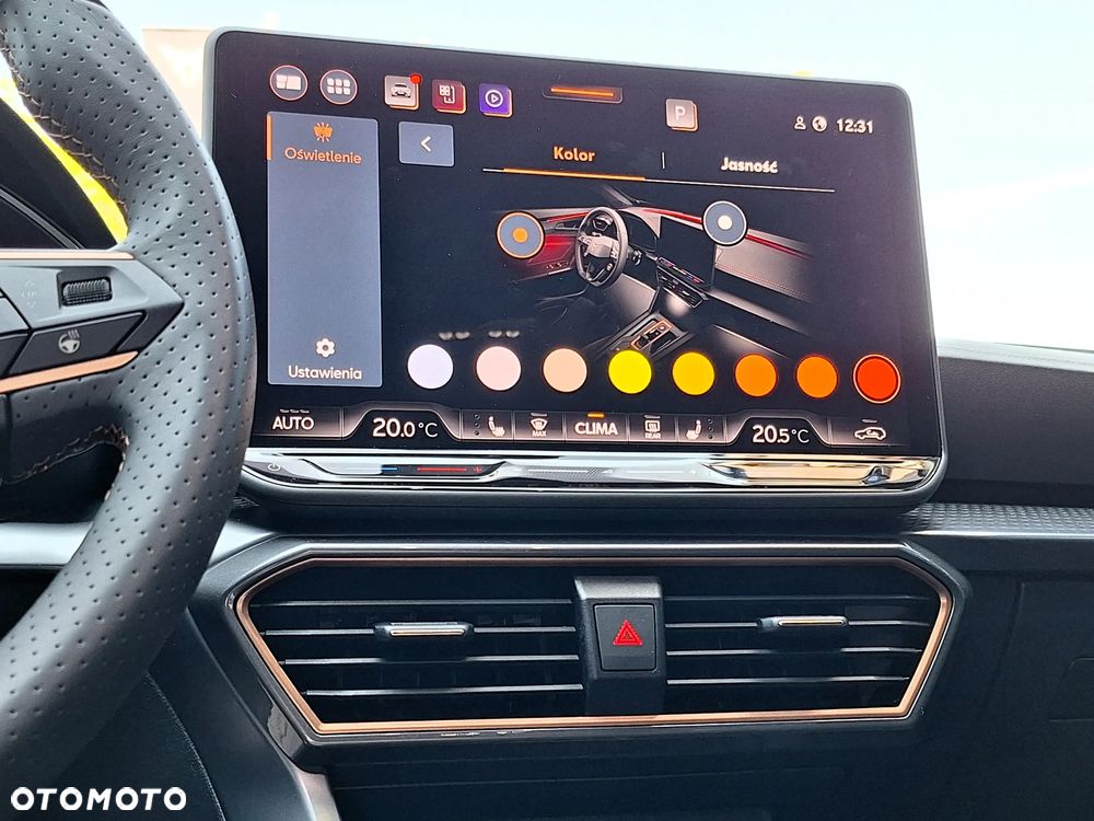 Cupra Formentor 2.0 TSI 4Drive DSG - 30