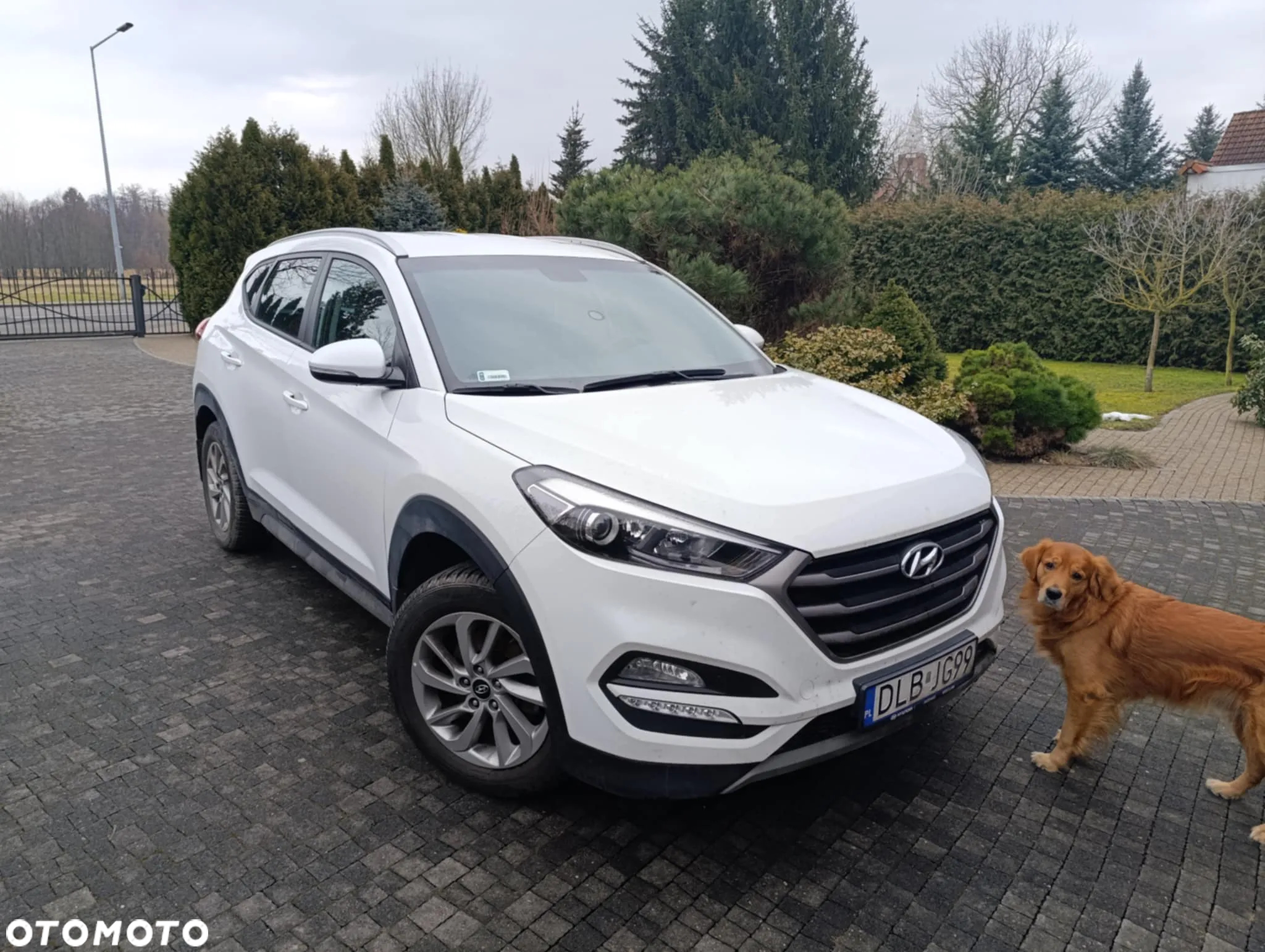 Hyundai Tucson 1.6 GDi Comfort 2WD - 5