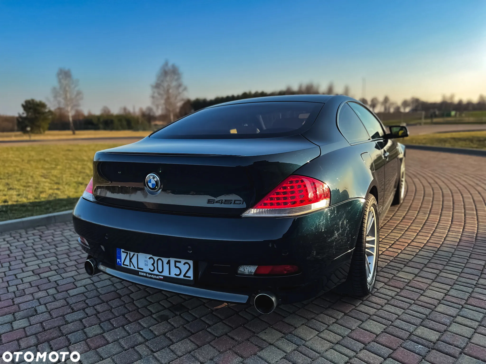 BMW Seria 6 645 Ci - 8