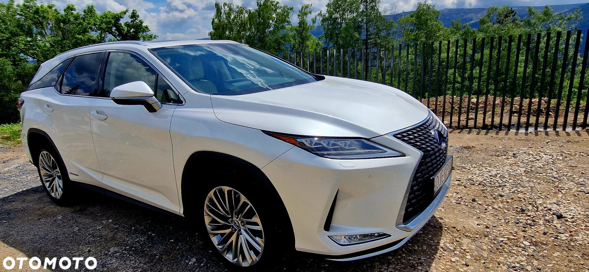 Lexus RX 450h L Omotenashi - 3