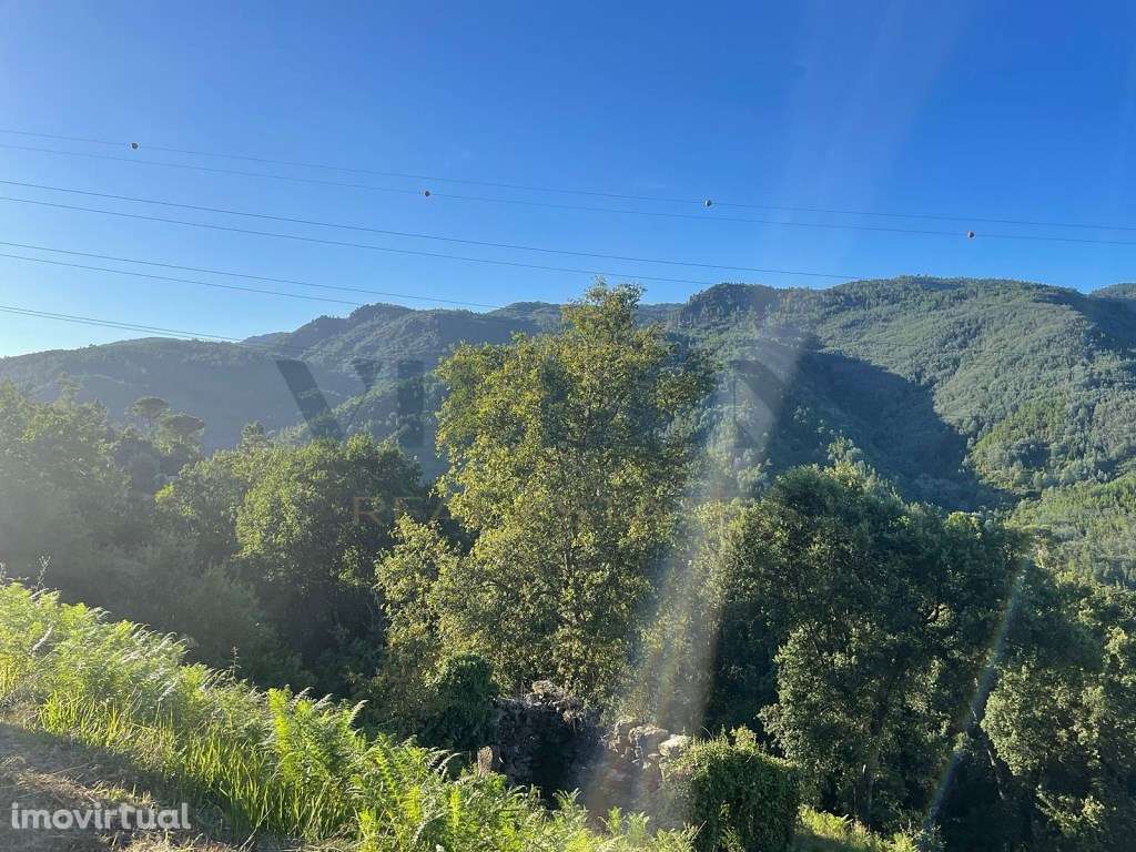 Terreno para construção em Louredo - Vieira do Minho - Grande imagem: 5/9