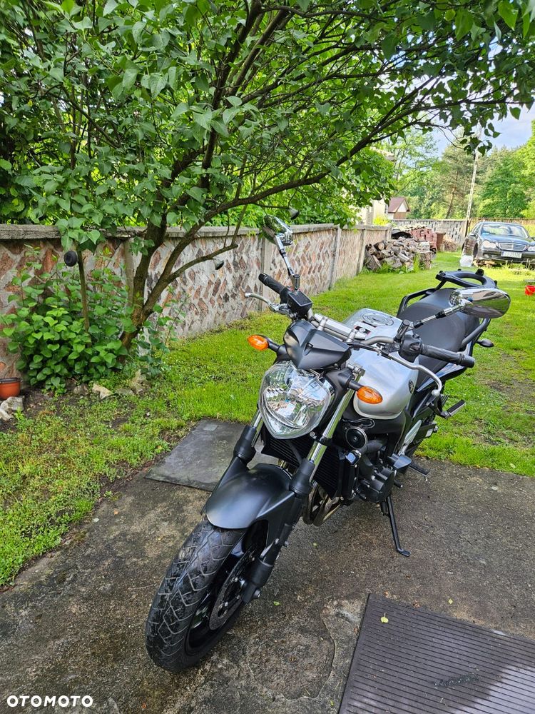 Yamaha FZ6 - 4