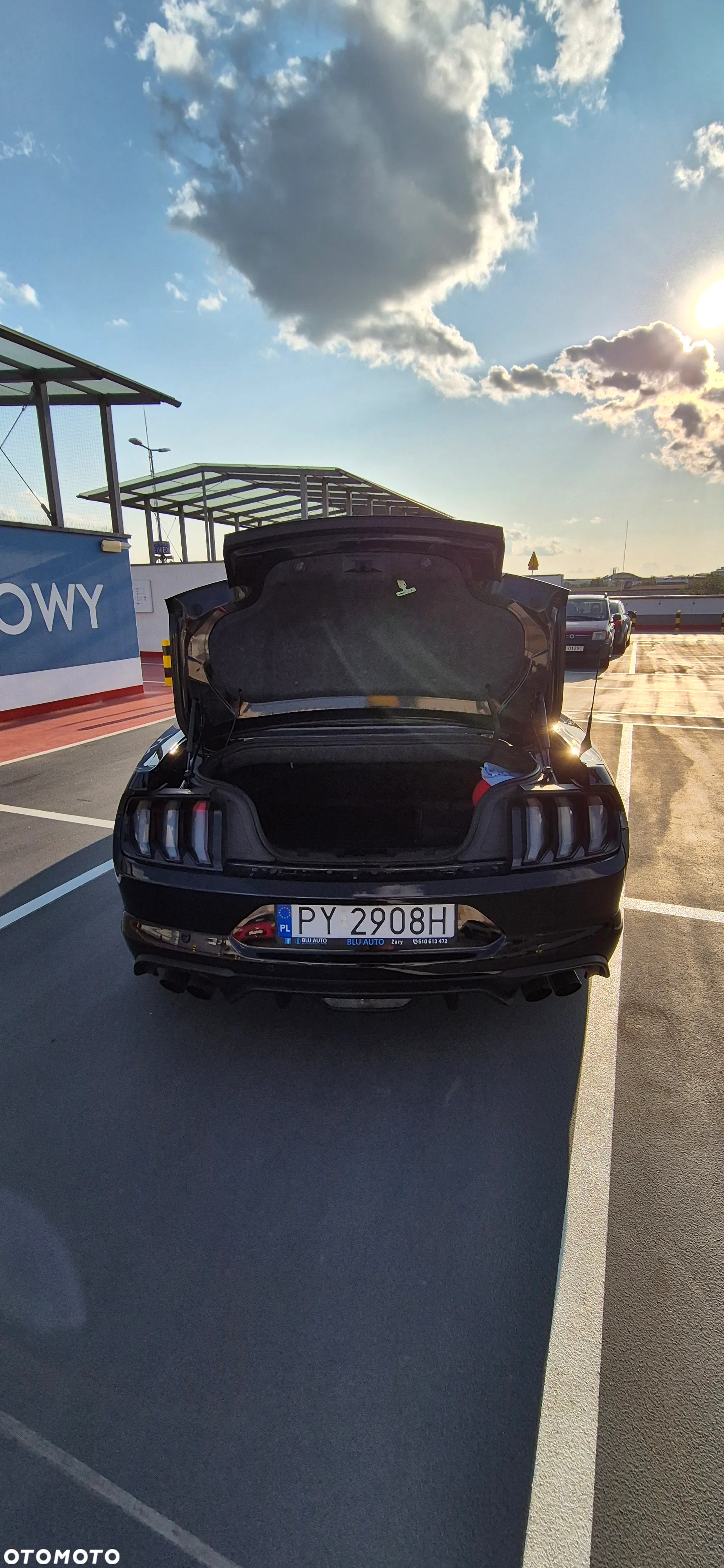 Ford Mustang Fastback 5.0 Ti-VCT V8 MACH1 - 11