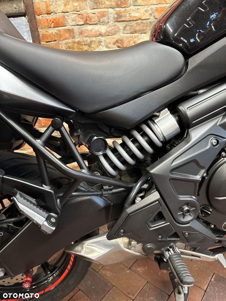 Kawasaki Versys 650 - 15