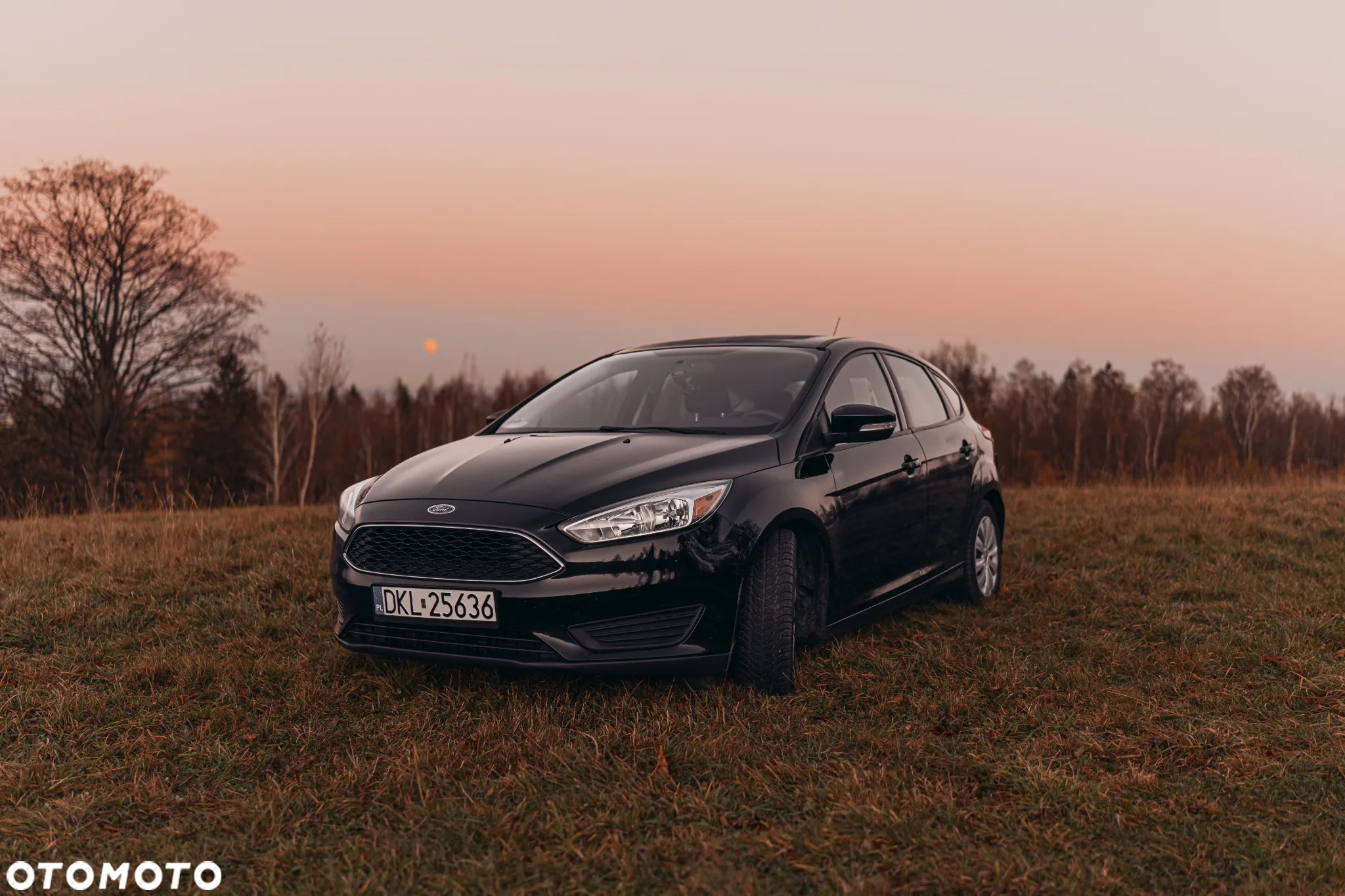 Ford Focus - 30