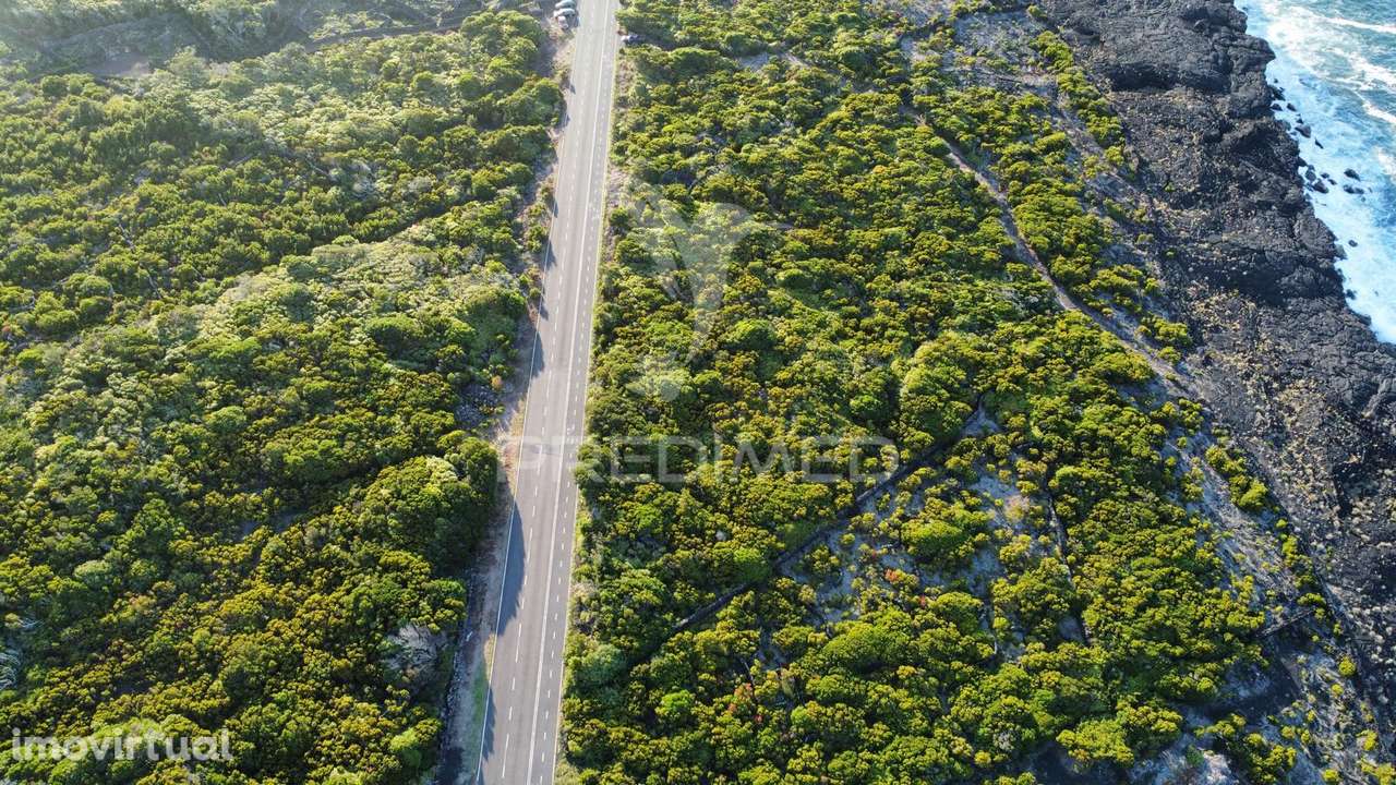 Terreno, para Venda, no Cachorro, Bandeiras - Grande imagem: 2/12