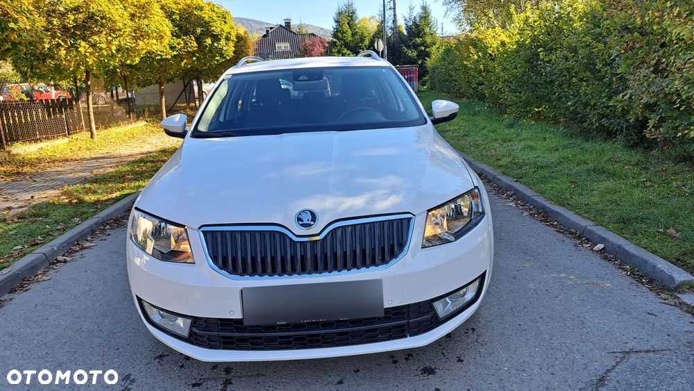 Skoda Octavia 1.6 TDI 4x4 Elegance - 19