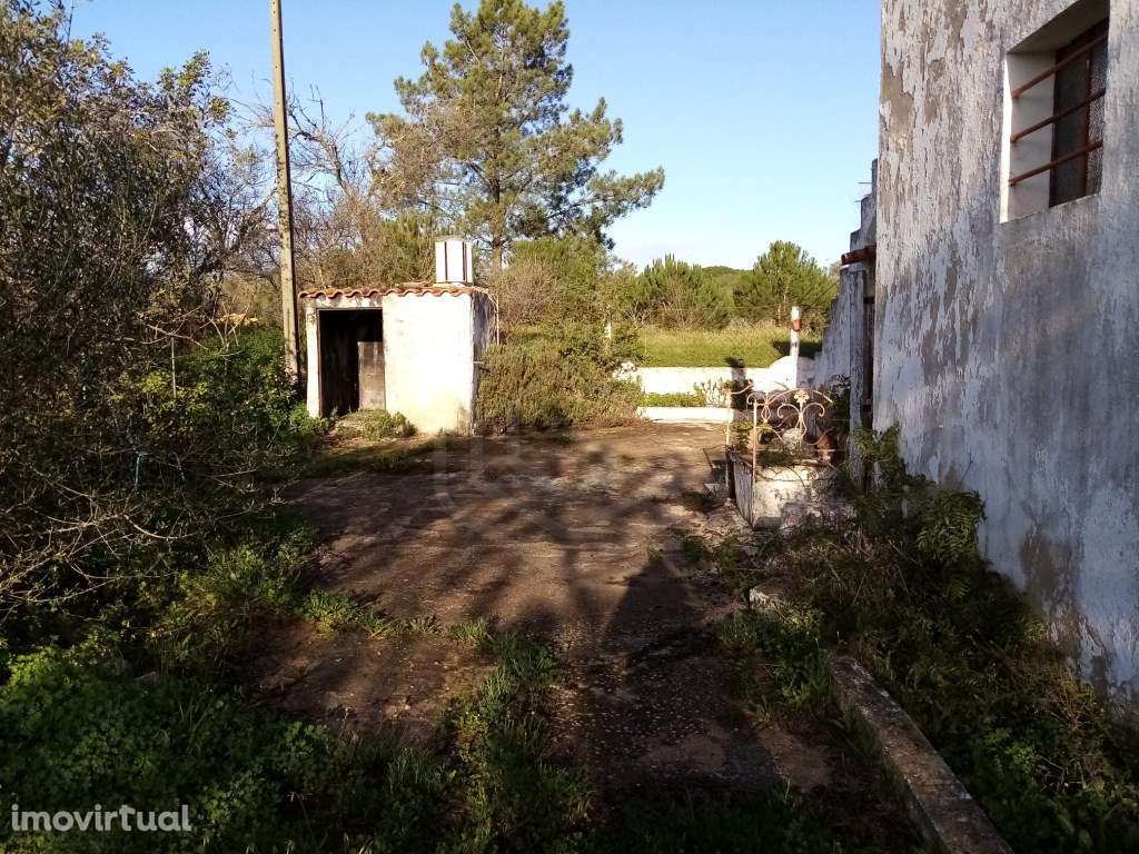 Casa antiga com 3 divisões, Loulé, Algarve - Grande imagem: 3/32