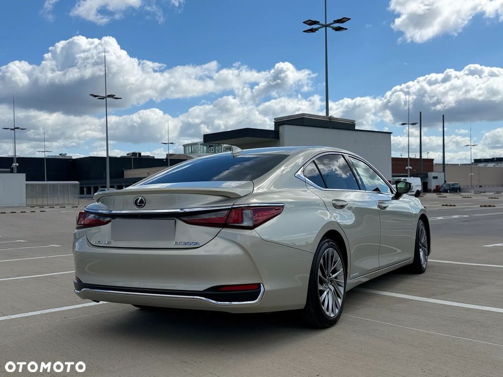 Lexus ES 300h Omotenashi - 4