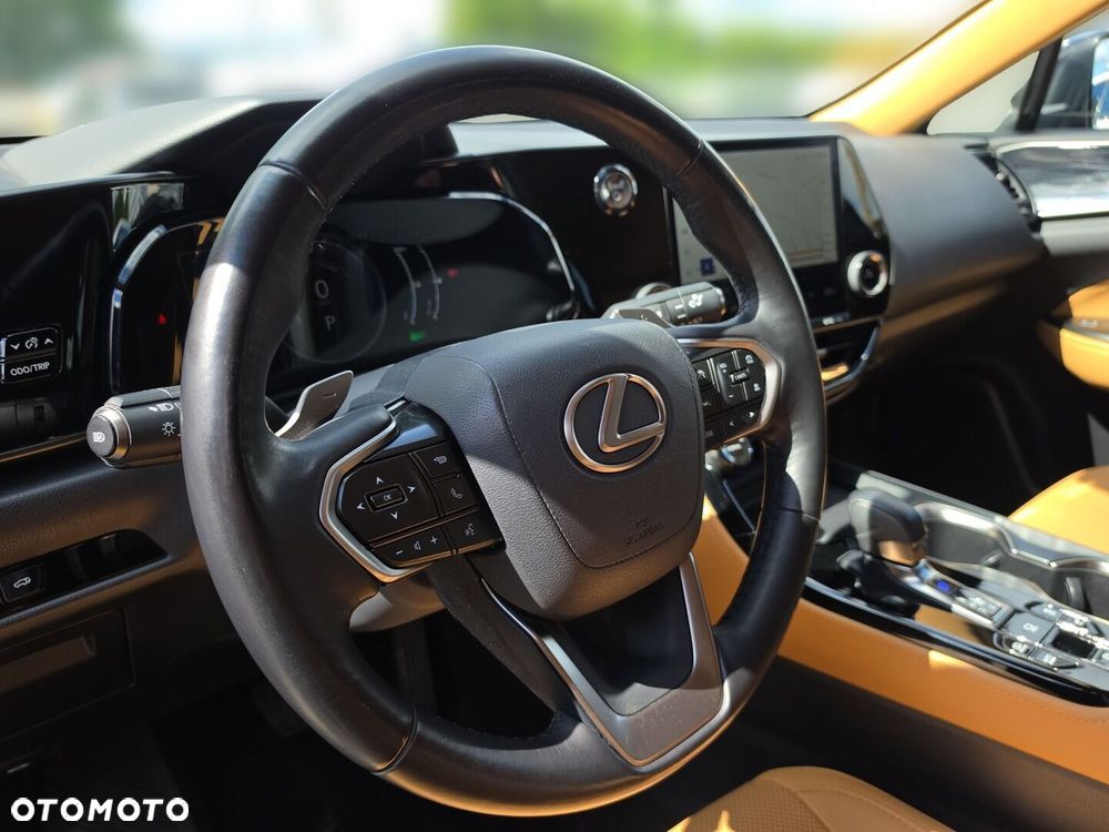 Lexus NX - 12
