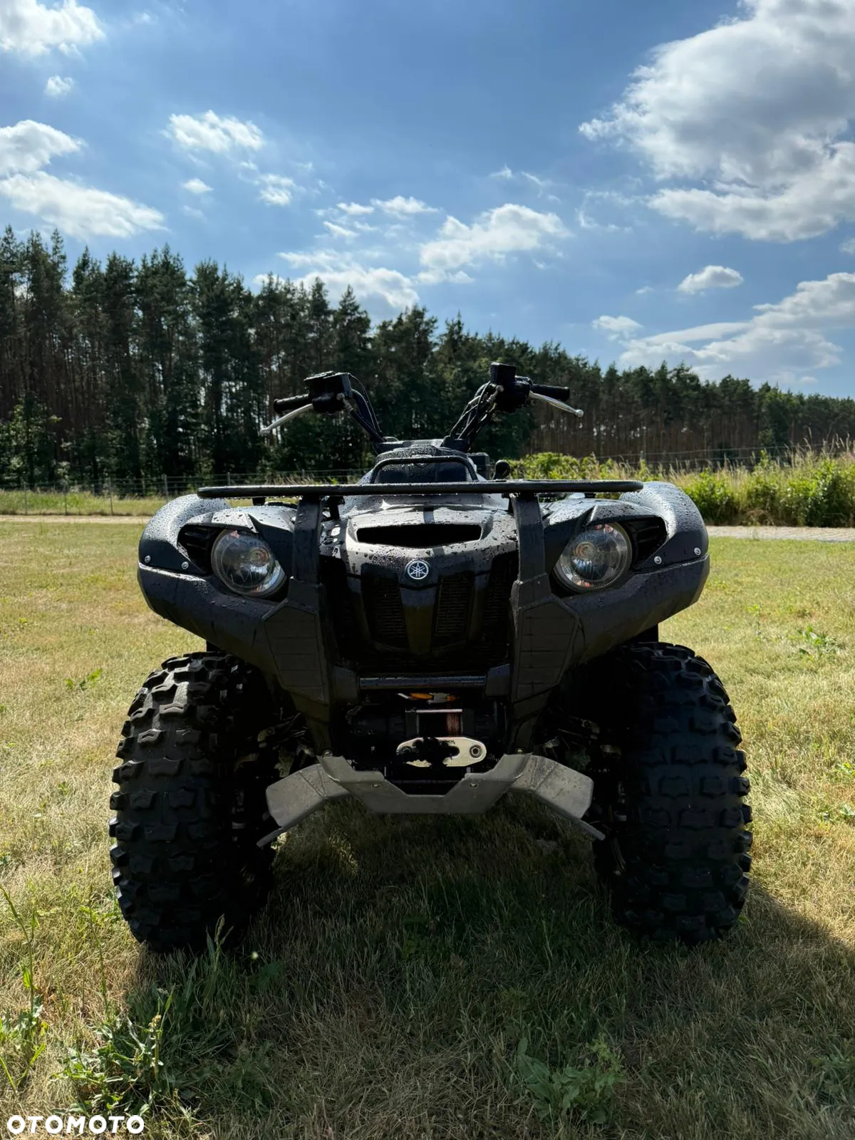 Yamaha Grizzly