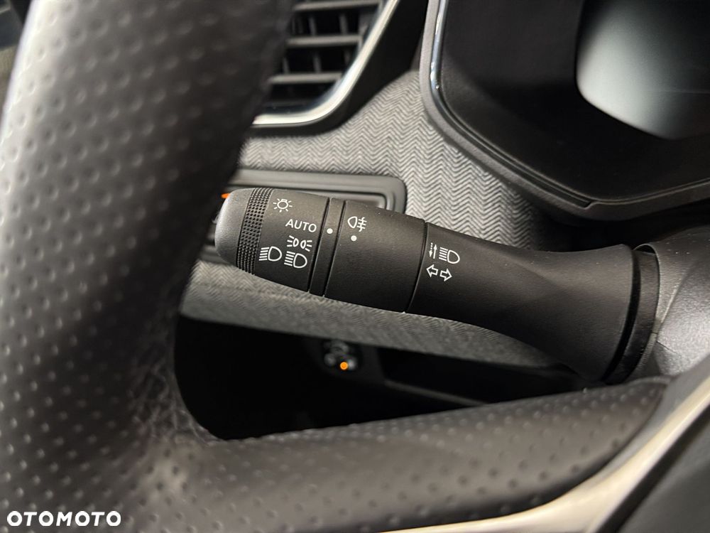 Renault Clio - 17