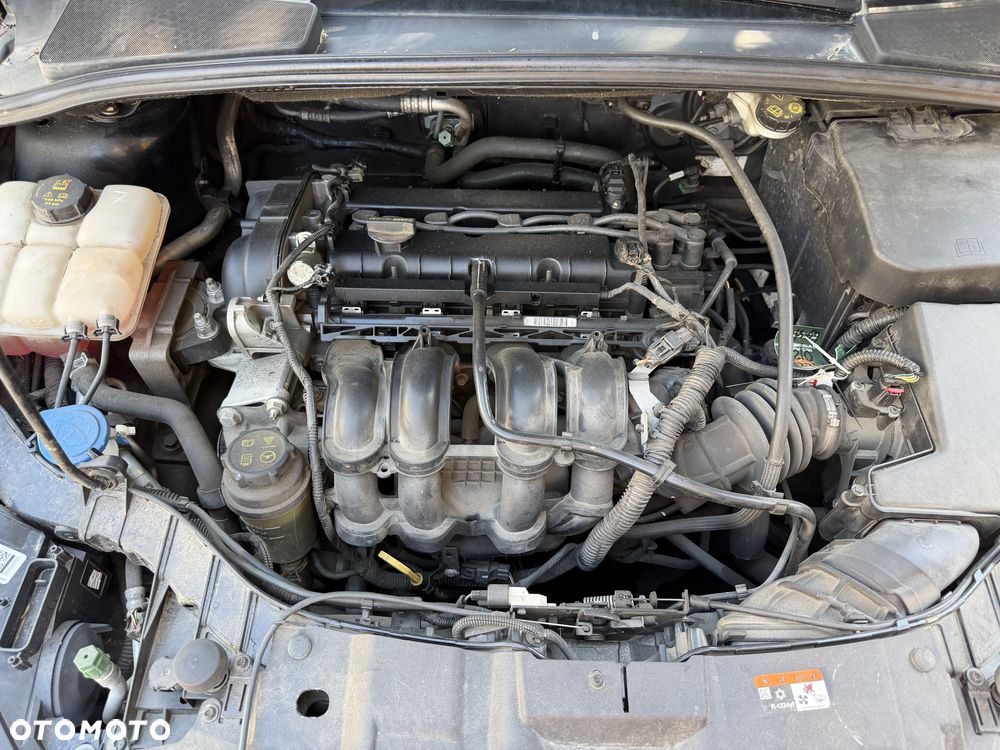 Ford Focus 1.6 Trend - 13