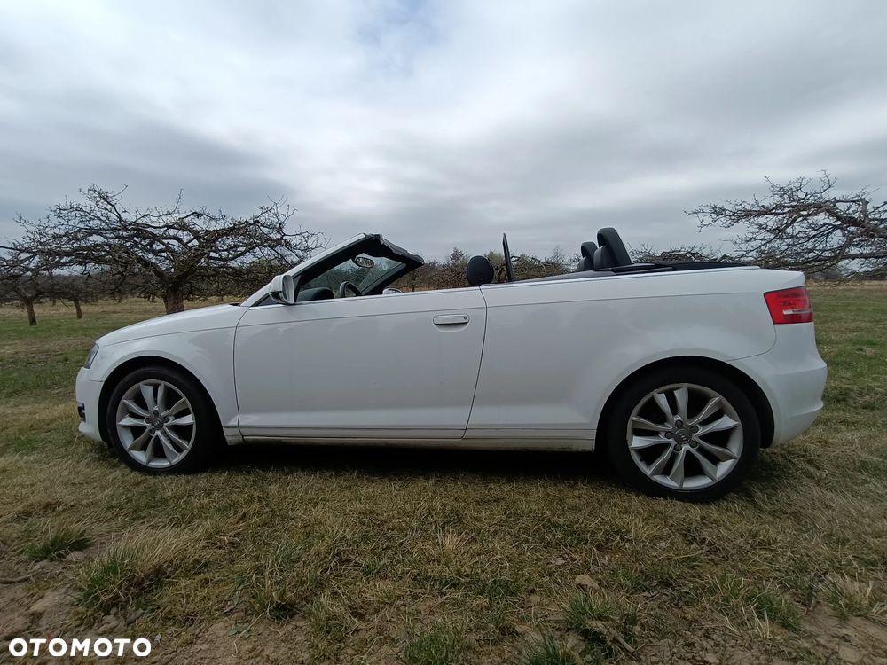 Audi A3 Cabrio 1.6 TDI DPF Attraction - 12