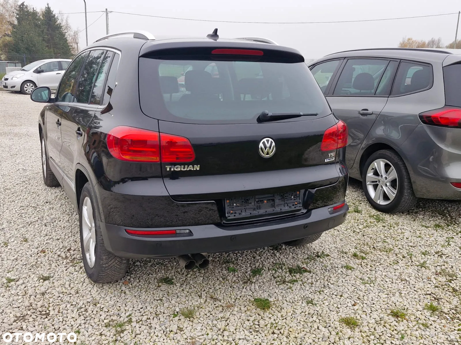 Volkswagen Tiguan - 10