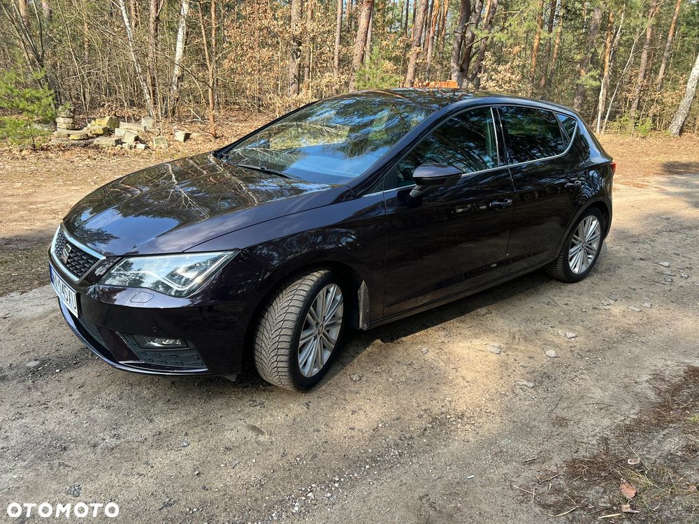 Seat Leon 1.5 EcoTSI Evo Xcellence S&S - 12