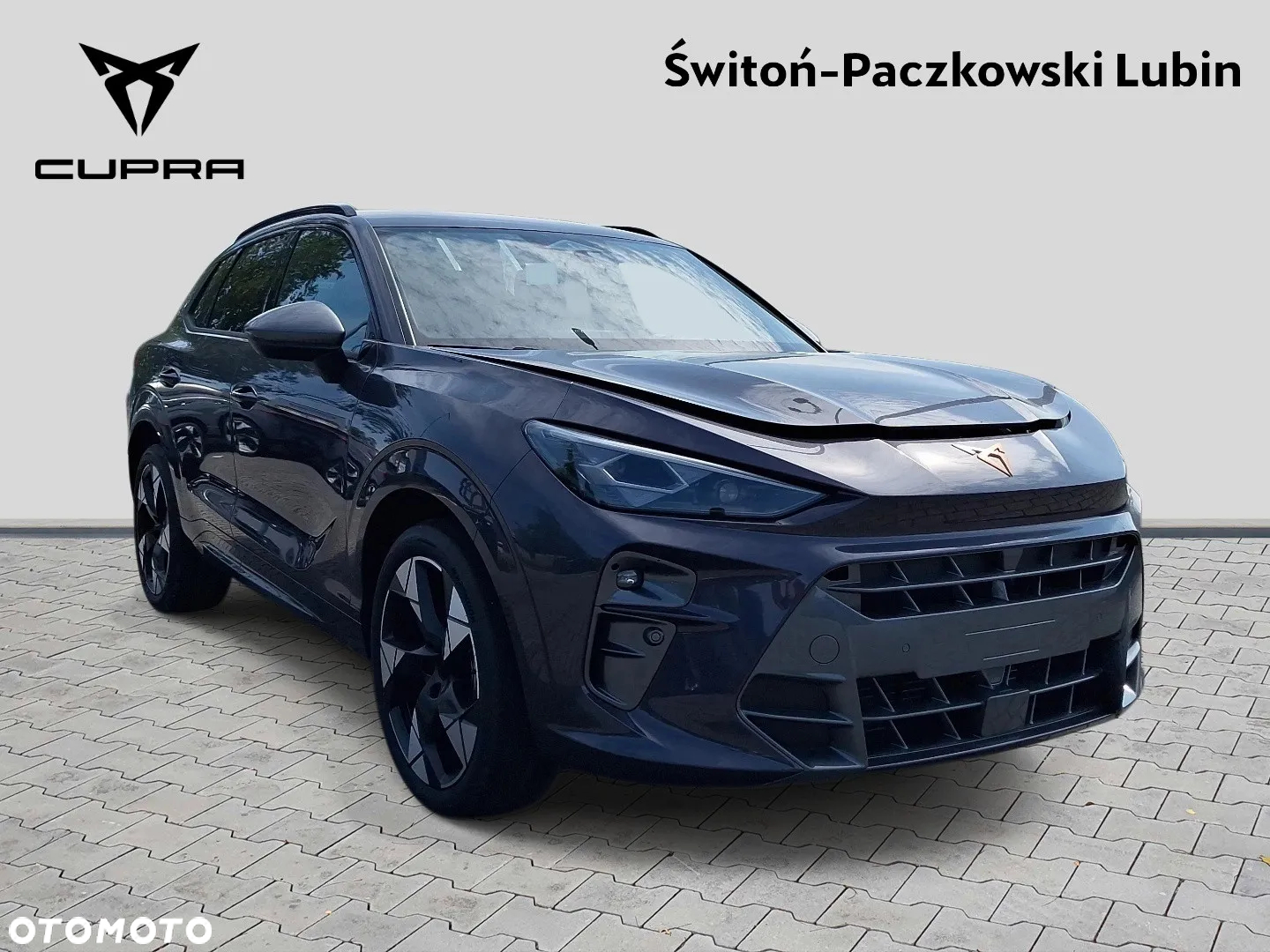 Cupra Terramar - 8
