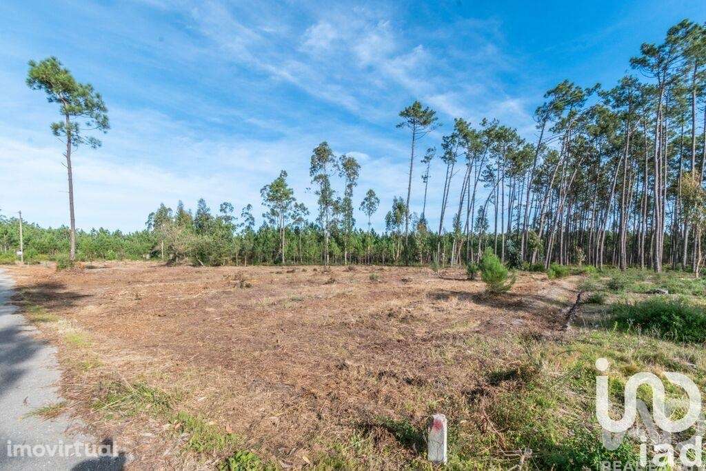 Terreno em Monte Redondo e Carreira - Grande imagem: 3/6