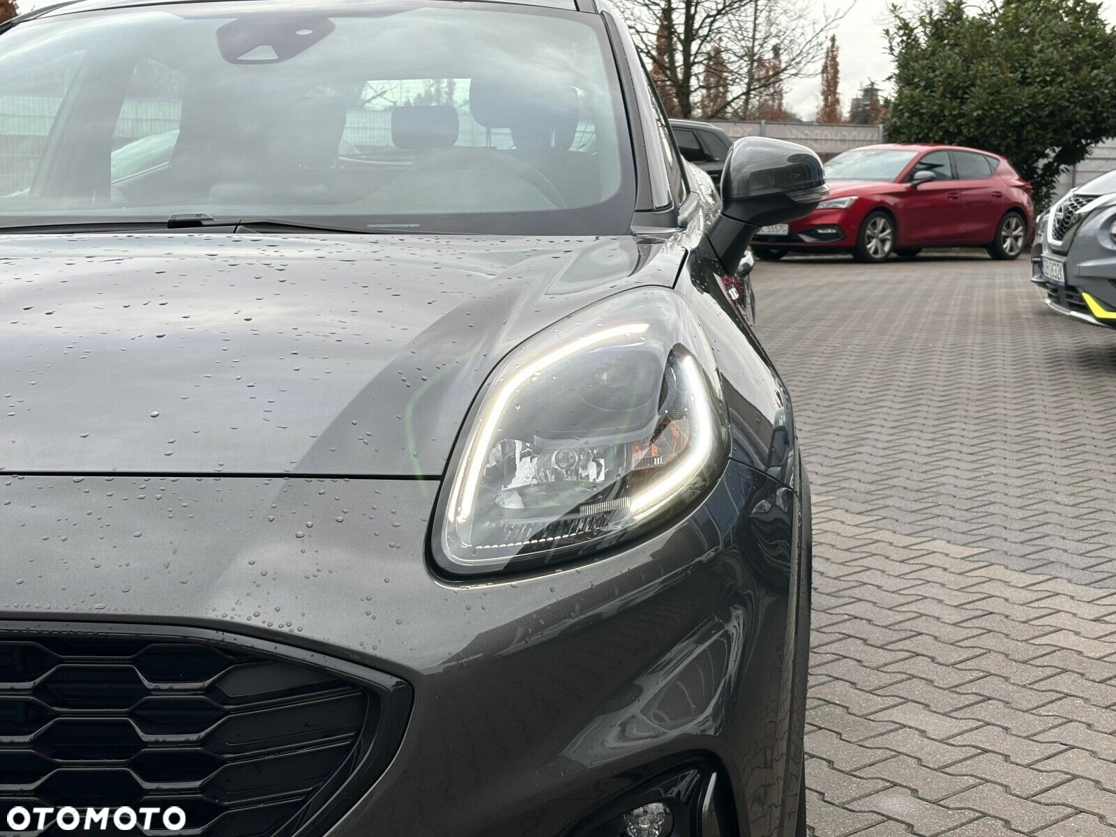 Ford Puma - 9
