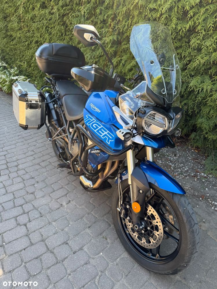 Triumph Tiger - 3