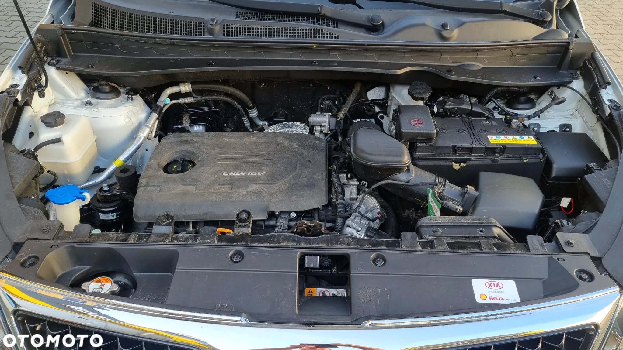 Kia Sportage 1.7 CRDI Business Line 2WD - 37