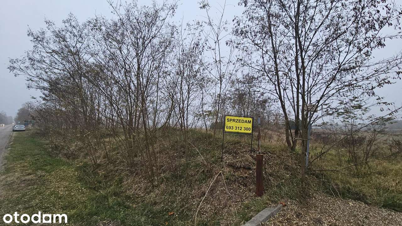 Działka o powierzchni 11300 m2 - Pełny obrazek: 3/8