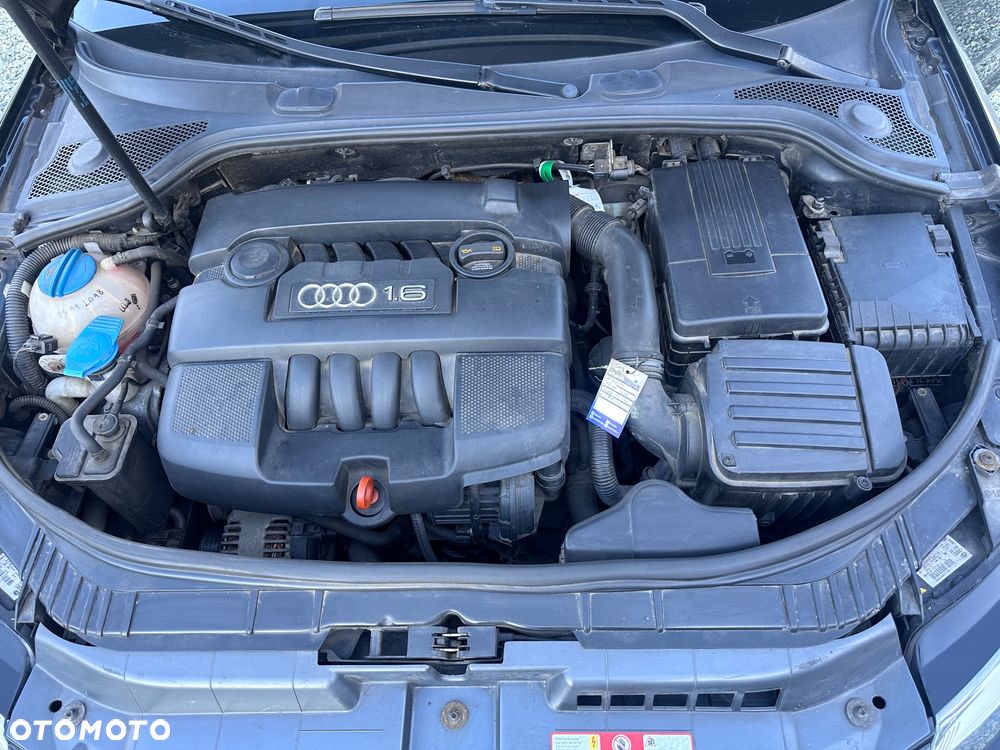 Audi A3 3-drzwiowe 1.6 Ambition - 17