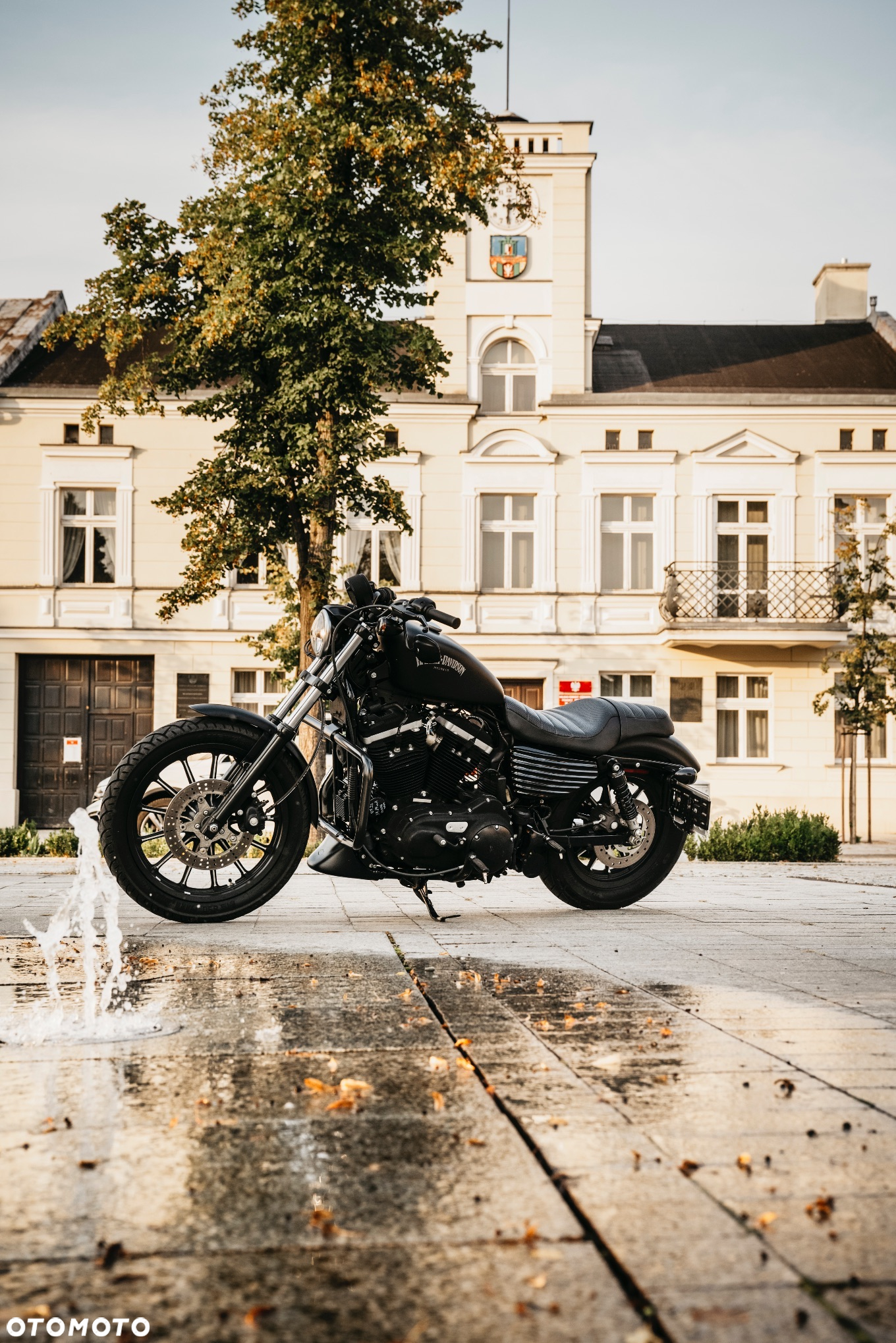 Harley-Davidson Sportster Iron 883 - 15