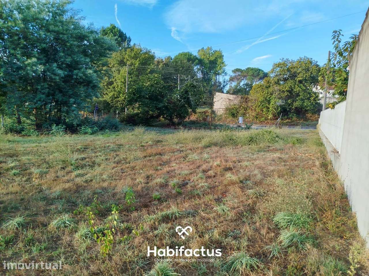 O seu projeto começa aqui: terreno com nascente em Cabanas de Viriato - Grande imagem: 5/7