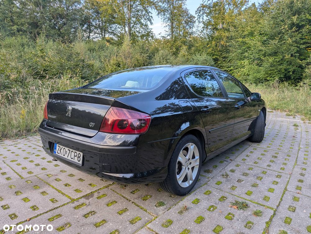 Peugeot 407 - 5
