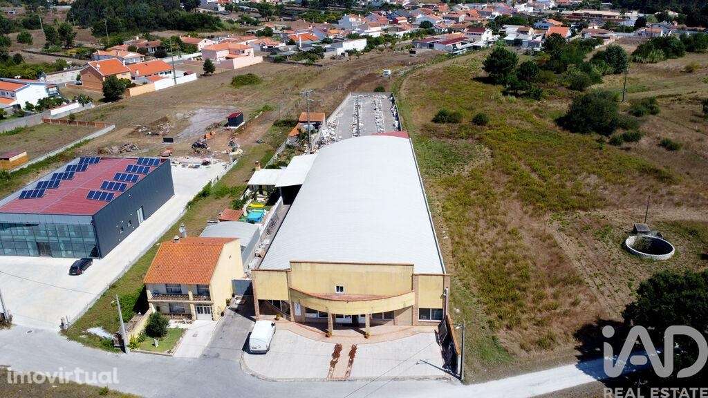 Armazém em Mira de 924,00 m2 - Grande imagem: 2/30