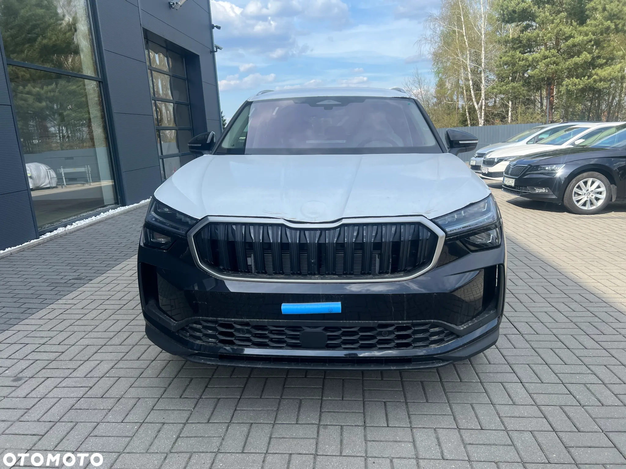 Skoda Kodiaq - 3