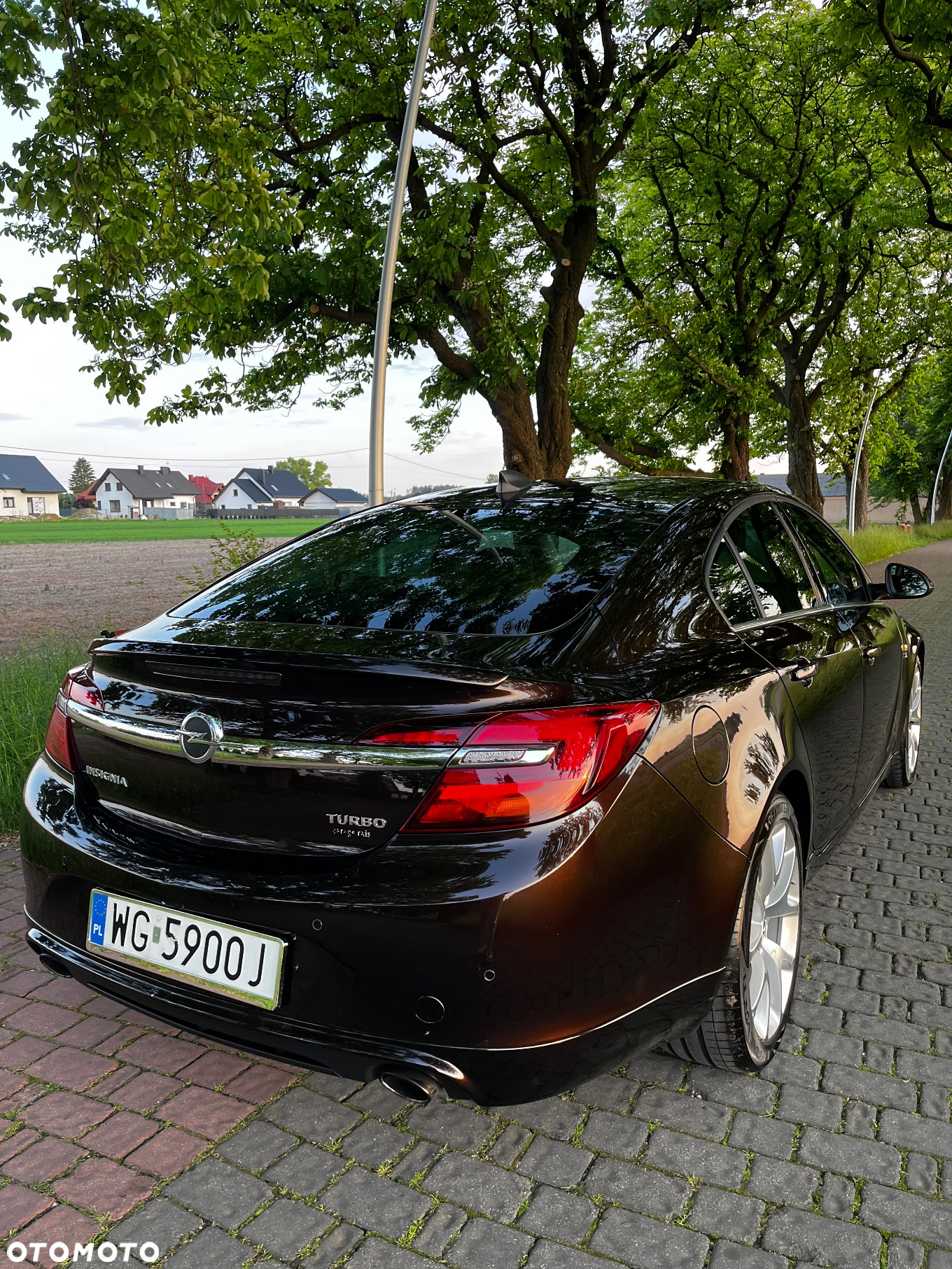 Opel Insignia 1.6 SIDI Turbo Sports Tourer - 15