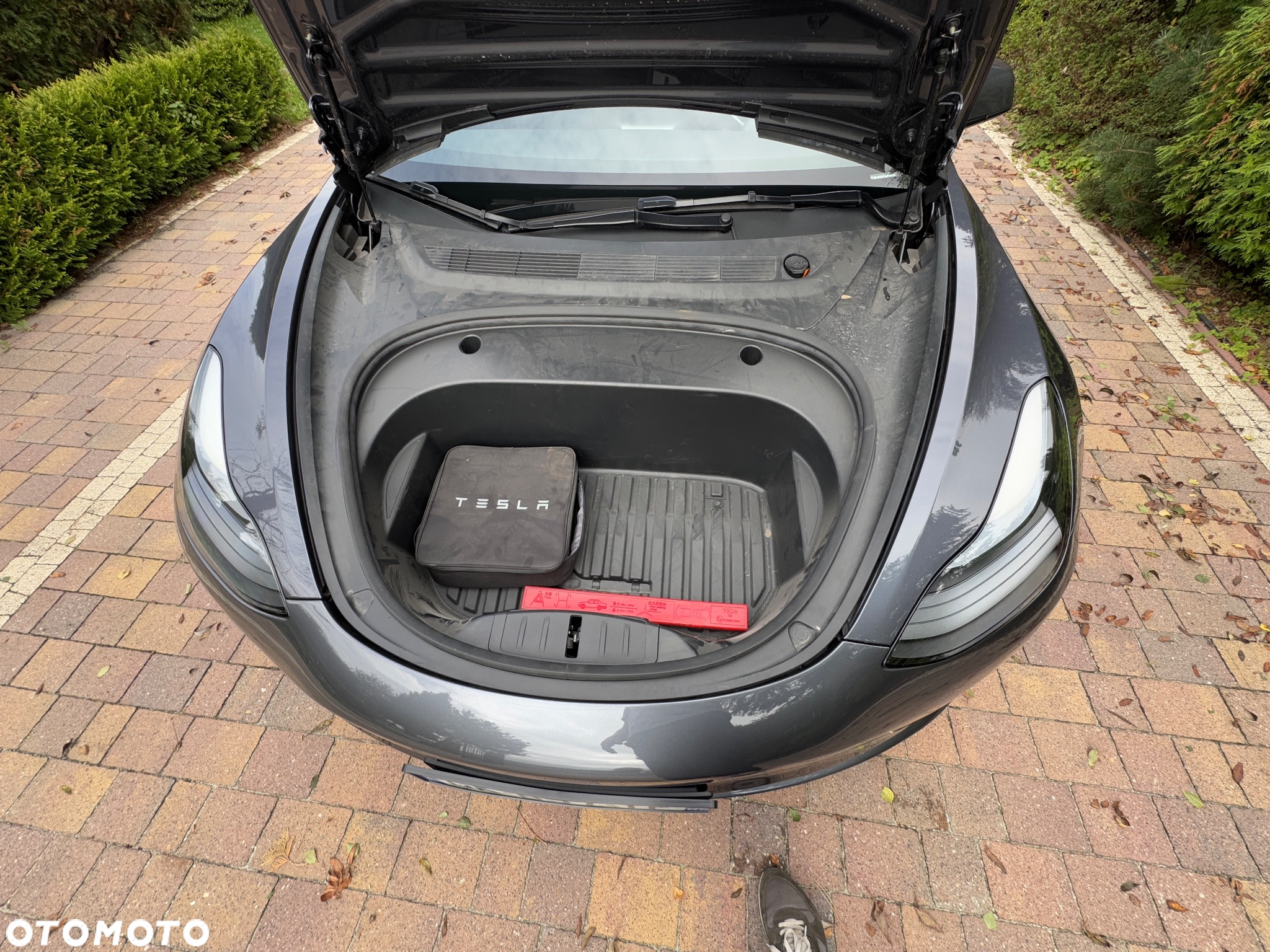 Tesla Model 3 Standard Range Plus - 8