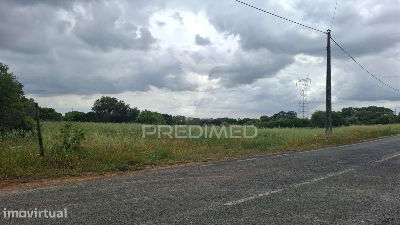 Terreno Rústico com 2,19 ha em Achete, Santarém. - Grande imagem: 4/19