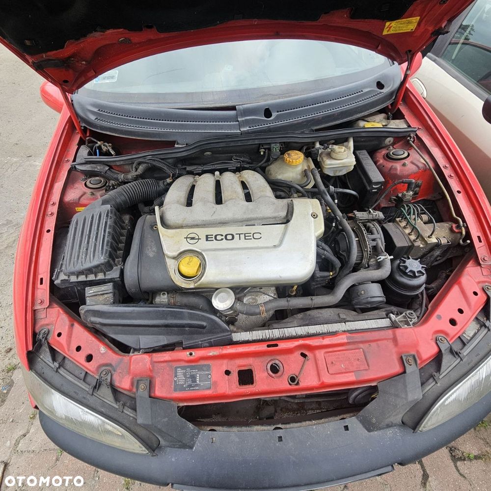 Opel Tigra  (kod lak: Y547) maska zderzak drzwi szyby lusterko wahacz klapa - 6