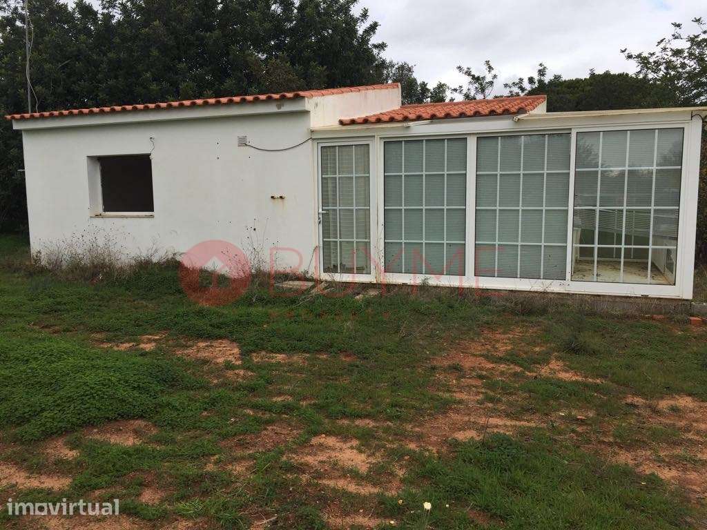 Terreno Rústico Vedado com Anexo em Vale Judeu, Loulé - Grande imagem: 4/5