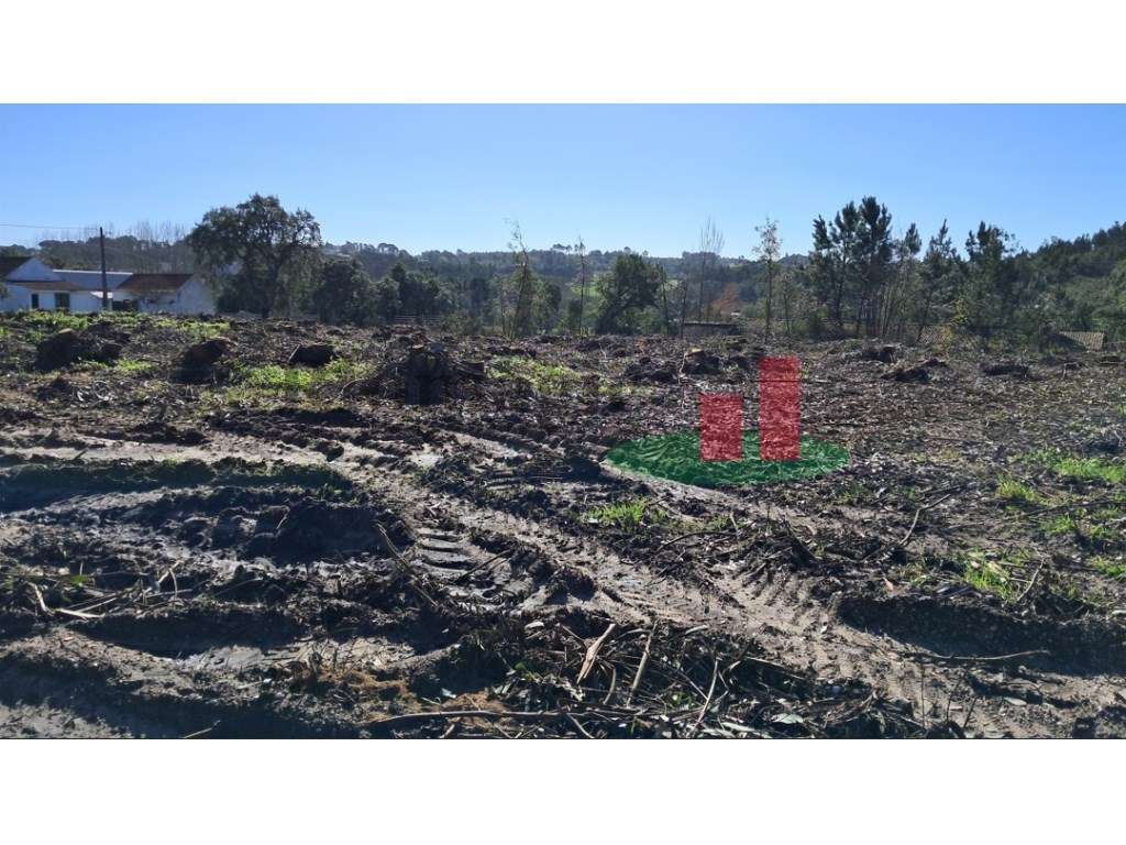 Terreno Misto Asseiceira***RIOMAGIC*** - Grande imagem: 3/4