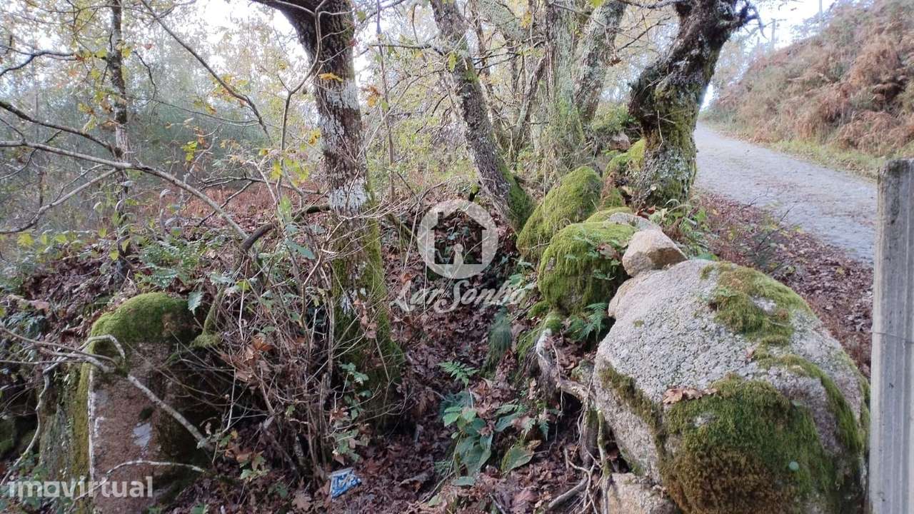Terreno para Venda no Parque Natural do Gerês - Ideal para Plantaçã... - Grande imagem: 3/9