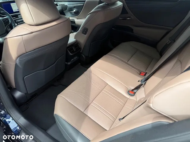 Lexus ES 300h Omotenashi - 10