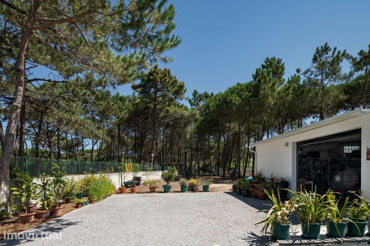 Refúgio Exclusivo no Pinhal das Azenhas do Mar| 2.400 m2 |  800 m da - Grande imagem: 5/39