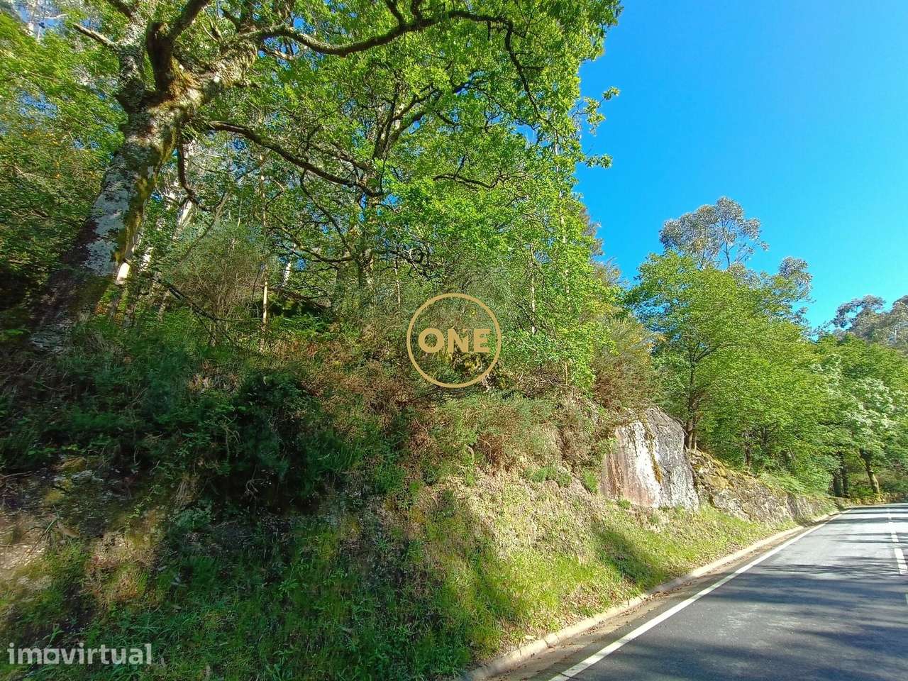 Floresta às Portas Do Gerês - Grande imagem: 3/16